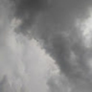 Meet your Posher, Cheyenne